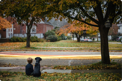 A young child and black dog sit on a leafy sidewalk, facing an autumn street with colorful trees.