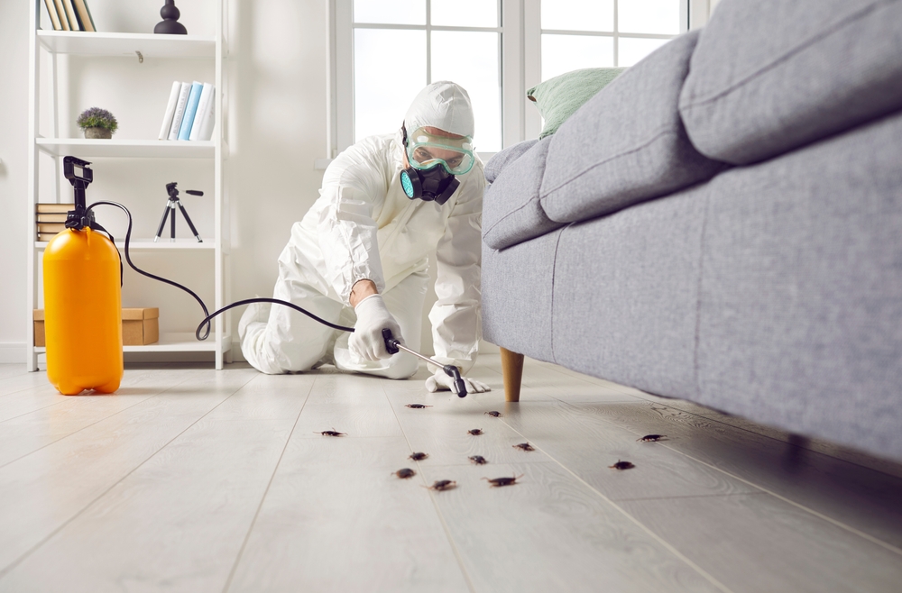 Pest Control Person