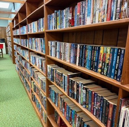 Pest control specialist spraying bugs