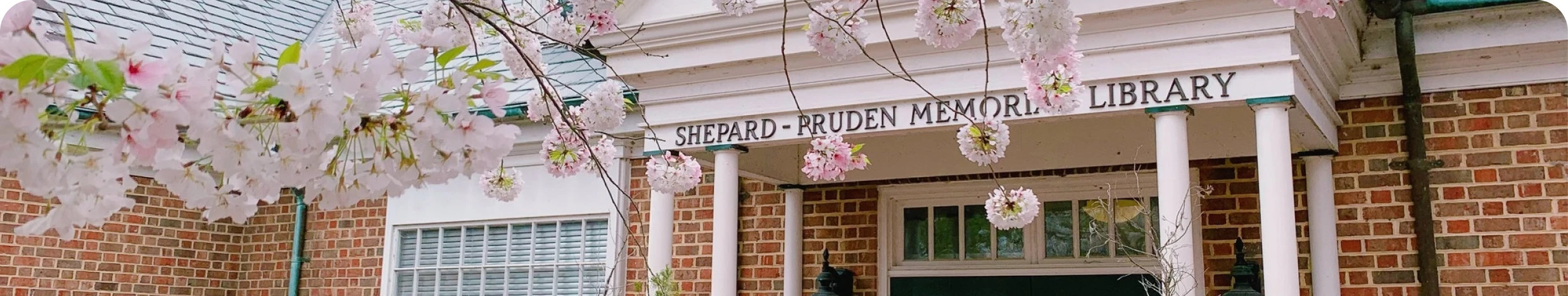 Shepard-Pruden Memorial Library entrance with cherry blossoms