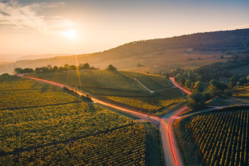 Aerial view of a vineyard landscape at sunset, with winding roads illuminated by car lights, creating red trails.